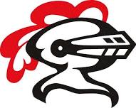 Beecher Girls Varsity Volleyball @ Lincoln-Way Central