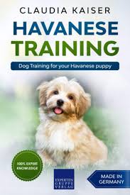 Our standards for havanese breeders in texas were developed with leading veterinarians and animal welfare experts. Amazon Com Havanese Training Dog Training For Your Havanese Puppy 9798614534592 Kaiser Claudia Books