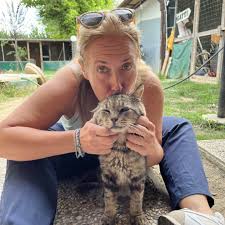 Image result for Erica simii