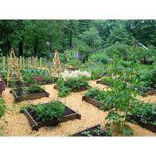 Raised Beds Raised Garden Vegetable Garden Design Building A Raised Garden