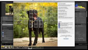 Why are these question marks & exclamation points showing up? The Top 6 Things You Can T Do In Lightroom And How To Do Them