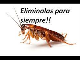 Pin En Limpieza Hogar
