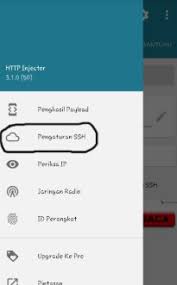 El primero es sacar el host y el segundo generar el payload con el generador de payload que tiene. 4 Cara Menggunakan Http Injector Semua Operator