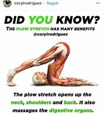 Helps Digestion Organs And Neck Shoulders Back Stretch Yoga Benefits Yoga Anatomy Yoga Postures