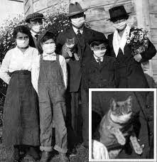 Ennyien tagadták a spanyolnáthát és a pestist is, mint most a ennek tükrében nem furcsa összehasonlítani a spanyolnátha járványt a koronavírussal? Felis Hungarica Hungarian Fife Cat Club Spanyolnatha Jarvany 1918 Facebook