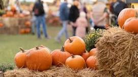 Fall Festival @ Cape Carteret Town Hall