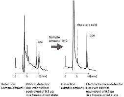 Electrochemical detection in hplc 1. Electrochemical Detector Hplc Instruments Hplc Osaka Soda