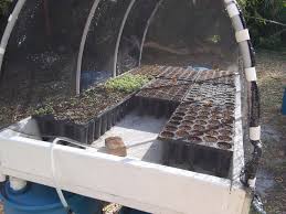 This Table Started As A Mist Propagation System It Worked Great Built Another One Just Like It Only Bigger Now We Re Testing Th Propagation Greenhouse Farm