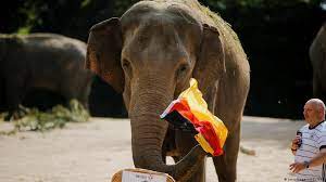The three lions hope their luck changes tuesday in the euro 2020 round of 16. Qh79njd3q2 P0m
