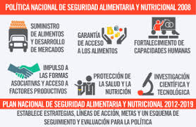 Determinantes estructurales de la situación alimentaria y nutricional en colombia (diagrama). Colombia Plan Nacional De Seguridad Alimentaria Y Nutricional 2012 2019