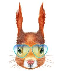 Lapin Dans L Amour Portrait D Ecureuil Avec Des Lunettes De Soleil Illustration Stock Illustration Du Ecureuil Amour 85955852