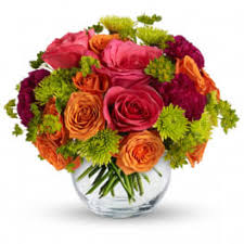 Großartige ersparnisse bei hotels & unterkünften infort lauderdale (fl), usa. Flowers Delivery Fort Lauderdale Brigitte S Flowers Galore