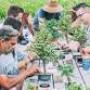 Bonsai Workshop at Rhode Island Spirits Distillery event image