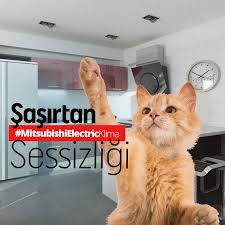 Sessizlikbudur Mitsubishielectricklima Klima Silent Aircondition Climate Sonbahar Autumn Cool Instacool Keyif Ev Decoration Hom Kedi Iman Uyku