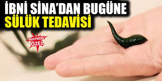 Ibni Sina Dan Bugune Suluk Tedavisi