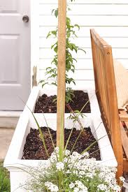 Our other trellis category sections include metal topiaries & garden obelisks, yard art balls, and wrought iron sundials. Garden Trellis Screening Garden Fence Panels Gates Extra Tall Trellis Planter