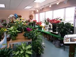 Forest oaks, greensboro*, south greensboro, spring valley, vandalia. About Clemmons Florist Inc Hours Delivery In Greensboro Nc