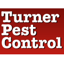 Orlando's diverse population of insects requires a variety of extermination techniques. Pest Control Orlando The Best In Town Opendi