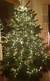 Kompostierung die eingesammelten bäume werden kompostiert, daher müssen sie vollständig. Grunsammelstelle Wird Fur Ausgediente Weihnachtsbaume Geoffnet Nh24 De