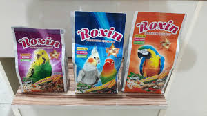 Roxin Premium Yemler 1 Kg Ambalajda Bird Food Snack Recipes Pop Tarts