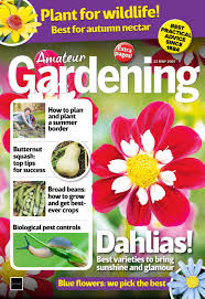 For lesser and narcissus bulb flies, mow dry daffodil leaves in the. Amateur Gardening Magazine 2021 05 18
