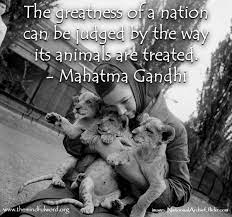 Gandhi Quotes About Dogs Quotesgram