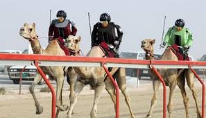 Term found in derogatory manner to spell it out any person from the center east by bridgettreport definition. Disruption The Rise Of The Robot Camel Jockey