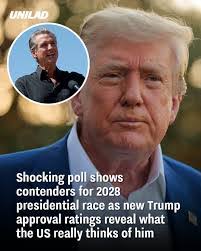 Timothy Hine's Instagram, Twitter & Facebook