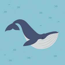 Females are bigger than males. Blue Whales Can Weigh Up To An Incredible 170 000 Kg 375 000 Pounds Their Heart Alone Weighs A Tonne And Is Instagram Photo The Incredibles Photo And Video