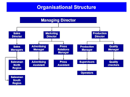 Organisational Structures Organisational Charts Traditional