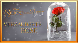 Diy Verzauberte Rose Von Die Schone Und Das Biest Disney Inspiriert Youtube