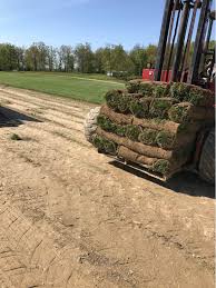Area 3 length x area 3 width. Sod For Sale In Winchester Kentucky Facebook Marketplace Facebook
