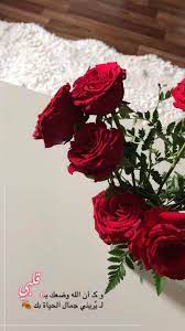 همسة و كـ أن الله وضعك بـ قلبي لـ ي ريني جمال الحياة بك تصميمي تصميم ورد ورود flowers flower quotes valentines flowers valentine day gifts
