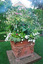 Maybe you would like to learn more about one of these? Nicotiana Mutabilis Deborah Silver Co