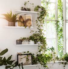Check spelling or type a new query. 6 Ways To Use An Ikea Picture Ledge In Every Room Of The House Real Homes
