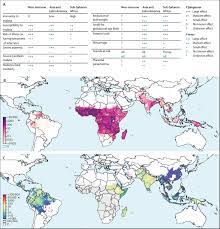 Deleterious Effects Of Malaria In Pregnancy On The Developing Fetus A Review On Prevention And Treatment With Antimalarial Drugs The Lancet Child Adolescent Health