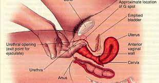 Maybe you would like to learn more about one of these? Raha Kusugua G Spot Raha Kusugua G Spot Have You Ever Bit The Insi