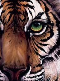 Face Painting Tiger Resultado De Imagen Para Women Tiger Face Acrylic Painting Facepainting Tiger Tiger Art Tiger Painting Art Painting