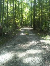 Check spelling or type a new query. 10 Best West Virginia Camping Ideas West Virginia Camping West Virginia Virginia