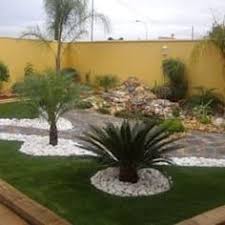 Palmen gehören zu den beliebtesten zimmerpflanzen. Die 15 Besten Ideen Zu Palmen Garten Palmen Garten Garten Garten Ideen