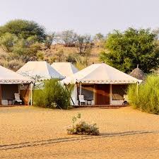 Автор сценария и режиссер фильма каран малхотра. Photo4 Jpg Picture Of Samsara Desert Camp Resort Dechu Tripadvisor