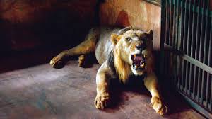 Sanjay Gandhi National Park ...