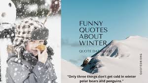 Funny Winter Quotes 28 Chilly Winter Quotes While some prefer the high temperatures of a tropical beach locale, others seek refuge in more frigid affairs. funny winter quotes 28 chilly winter