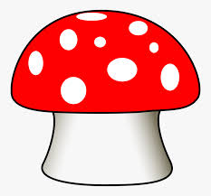 Mushroom Toadstool Fungus Poisonous Toxic Red Drawing Of Mushroom House Hd Png Download Kindpng House sketch fairy 32+ new ideas. mushroom toadstool fungus poisonous