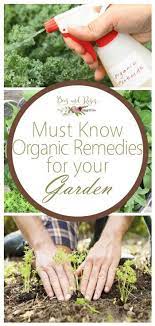 Must Know Organic Garden Remedies Bees And Roses Garden Remedies Organic Insecticide Organic Vegetable Garden