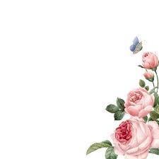 Download Hand Drawn Pink Roses Frame On White Background For Free How To Draw Hands Rose Frame Pink Background