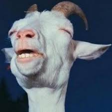 Create Meme Goat Goat Goat Meme Pictures Meme Arsenal Com