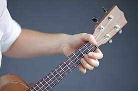 Maybe you would like to learn more about one of these? How To Fret Your Ukulele Dummies
