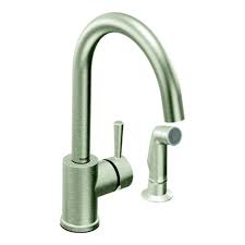 Sink side sprayer, garbage disposal air switch, dishwasher air gap or soap/lotion dispenser. Moen Level 1 Handle Kitchen Faucet With Matching Side Spray Classic Stainless Finish The Home Depot Canada