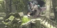 Image result for the last guardian